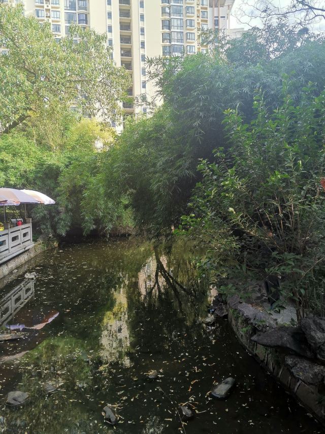 蓬莱公园旅行图片 2