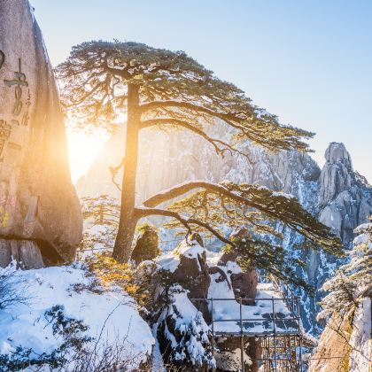 千岛湖+宏村+西递+黄山风景区5日4晚私家团