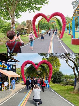 江浙沪周边游|重阳节老人出游首选地