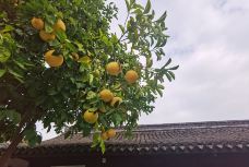 龙山公园-余姚-南山偕老