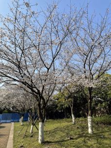 汉口江滩-武汉-好好