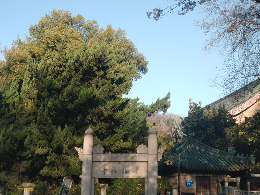 南京游记之三——春风又绿江南岸