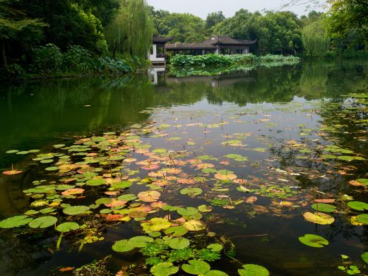 静安公园