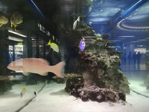 冲绳县游记图片] 日本冲绳本岛--放松的五天4夜之旅