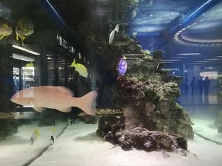 日本冲绳本岛--放松的五天4夜之旅