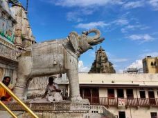 贾格迪什神庙-乌代布尔-翱翔的大鲨鱼