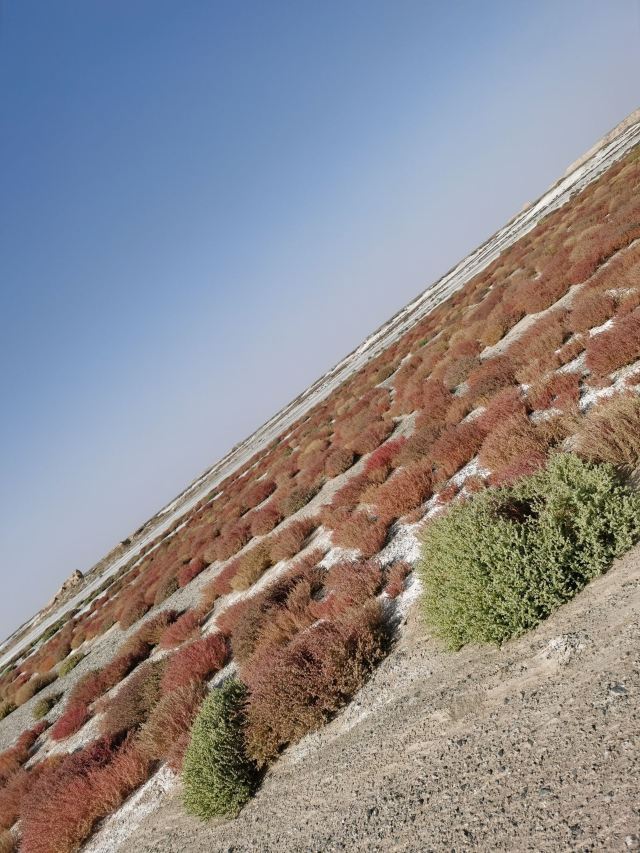罗布泊大峡谷旅行图片 2