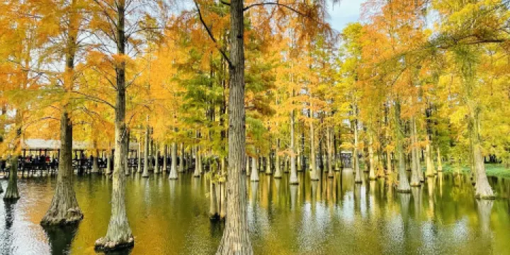 上海青西郊野公園