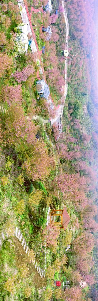 快收藏！请查收这份汶川春日专属壁纸~