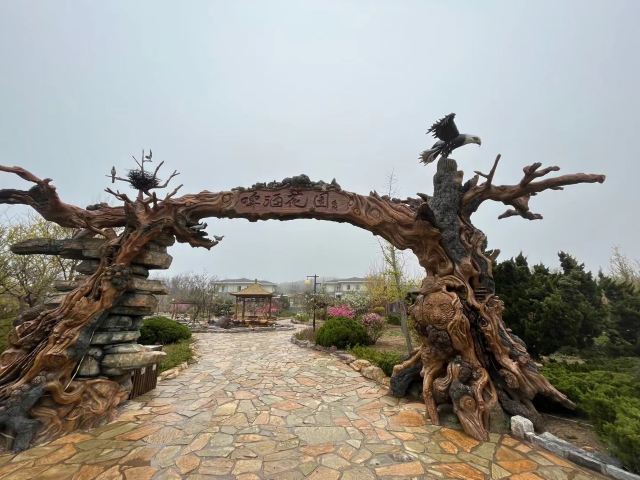大连蚂蚁岛度假区旅行图片 3