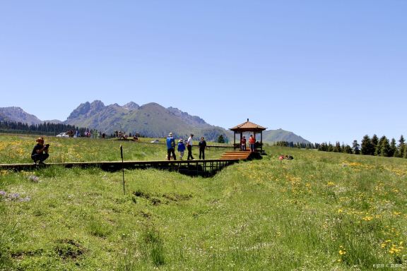 南山西白杨沟风景区