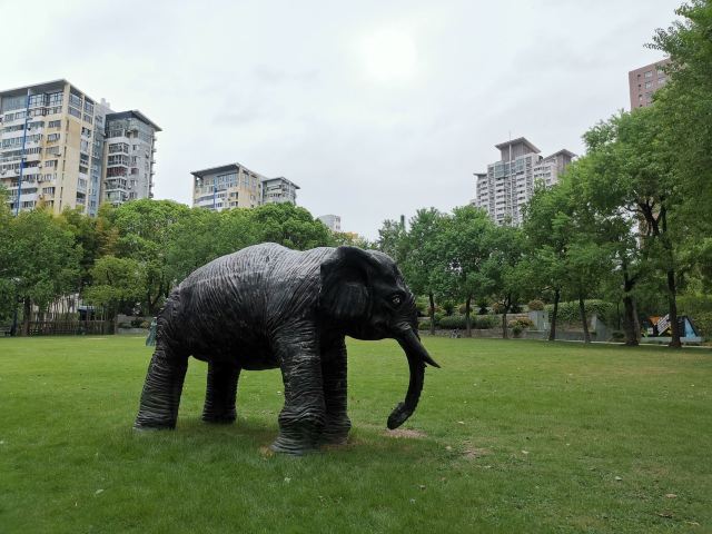 祥和公园旅行图片 11