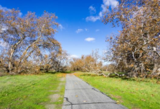 Sycamore Grove Regional Park景点图片