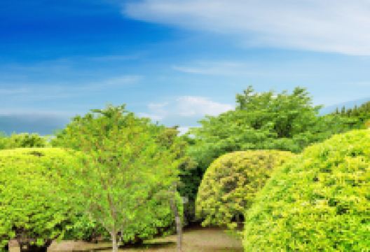 恩赐箱根公园景点图片