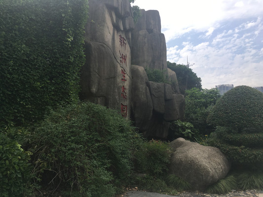 新洲生态园，翠色满园驻初夏