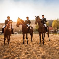 龙口南山旅游景区-龙口-C-IMAGE