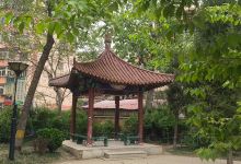 唐口公园景点图片