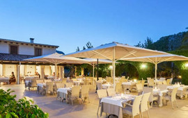 Placeta Garden