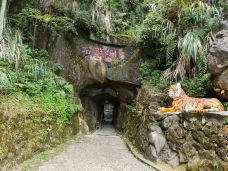 石燕洞风景区-井冈山-瘦瘦神猪