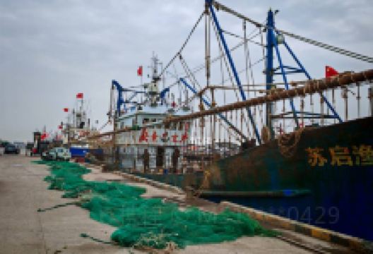 吕四国家中心渔港景点图片