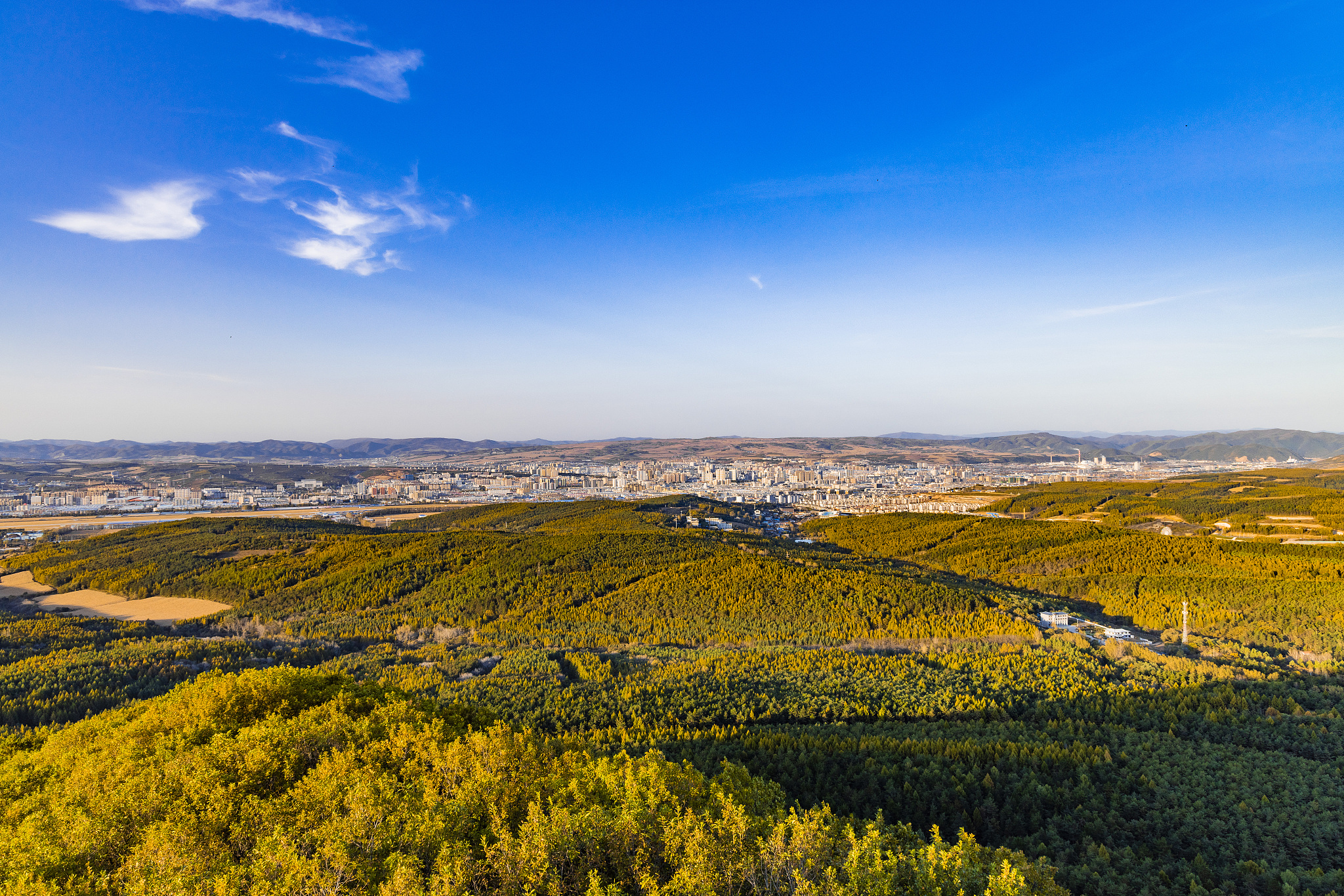 옌지 & Changbai mountain 4일 투어: 마오얼산 삼림의 신비, 공룡왕국의 마법