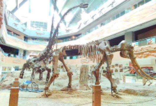 昌吉恐龙馆景点图片
