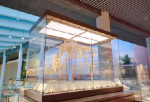 和政古生物化石文旅旅游区·古动物化石博物馆景点图片