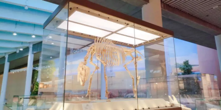 古動物化石博物館