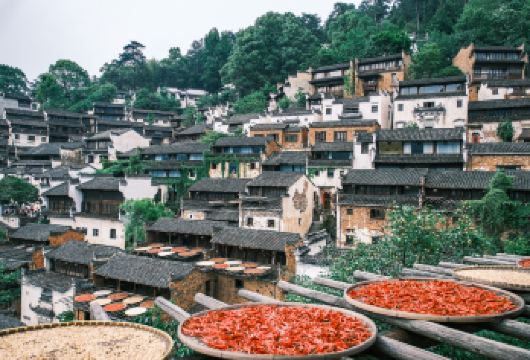 婺源篁岭一日游 赏梯田花海 含索道纯玩团 小团可选 黄山出发【精选行程：漫步天街古巷，置身于流动的“清明上河图”，深入体验花海美景。】