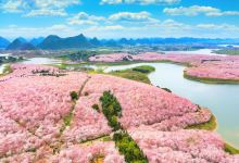 平坝农场景点图片