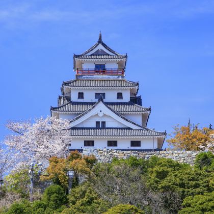 福冈+樱井二见浦夫妇岩+芥屋ゴルフ倶楽部+ドッグフレンドリーパークうえらんから糸岛+唐津城+唐津神社+虹之松原+镜山展望台+呼子朝市+波戸岬2日1晚私家团