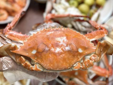 聚宾楼精品菜海鲜大馅饺子王家常菜(仙螺岛店)