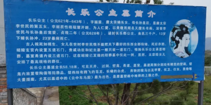 唐長樂公主墓