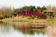 苏州太湖国家湿地公园-苏州-YoYo_4G7M3Q7D