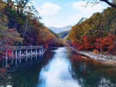 蒲石河森林公园-凤城-素心如雪lavender