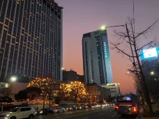 明洞-首尔-Lavender and Sun