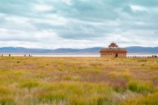 甘肃尕海则岔自然保护区-尕海湖-碌曲-金哥V铁马