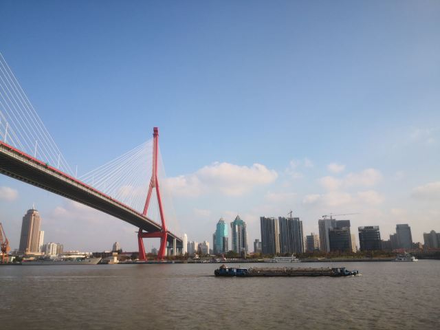 大桥公园旅行图片 2