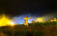 桃花源-桃源-YoYo_6Z1S2S1E