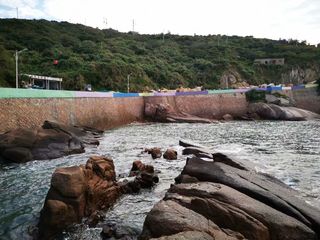 【枸杞岛沪苏游】4. 原著居民仍织网，岛与滩时空转