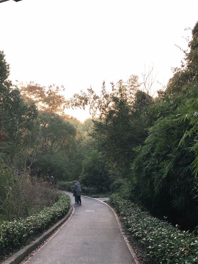 新江湾湿地生态观鸟拍鸟基地旅行图片 10