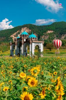 墨潭桃花岛-吉水-YoYo_3B6I7Q0C