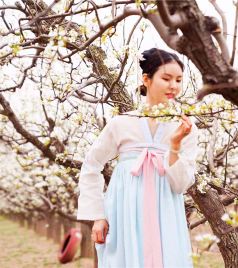 威县游记图文-河北赏花好去处，邢台小城万亩梨花盛放，无数美女穿着汉服来打卡