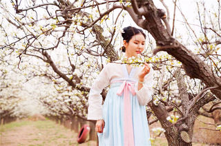 河北赏花好去处，邢台小城万亩梨花盛放，无数美女穿着汉服来打卡