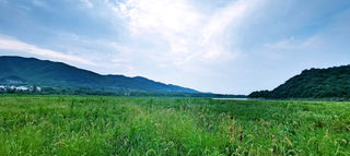 醒渡老板江南先生推荐:躲开人群,原生态的湿地秘境探寻,体验山野乐趣