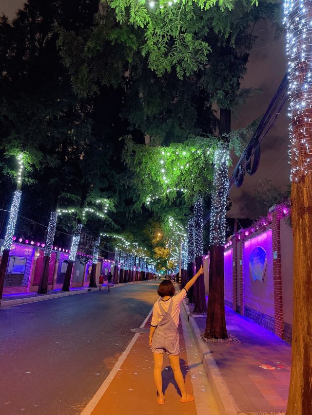 甜爱路旅行图片 2
