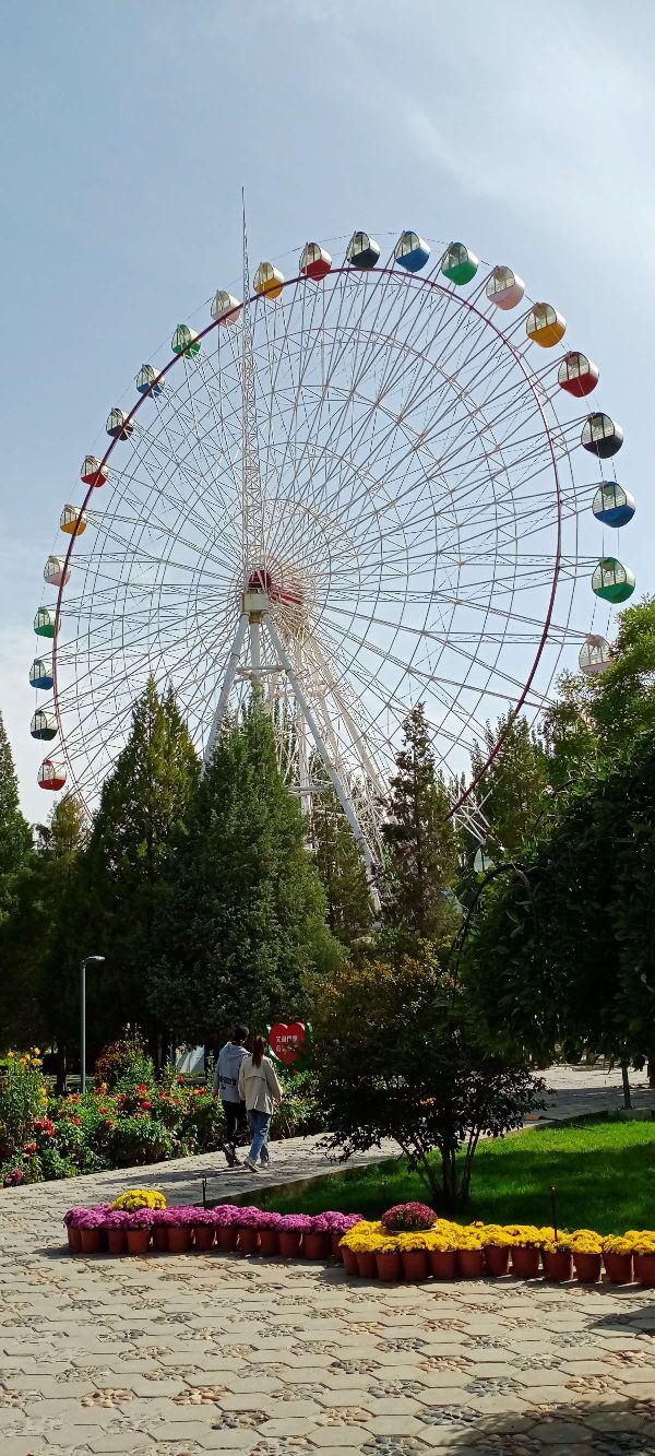 中山公园旅行图片 4