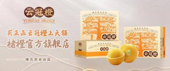 龙陵游记图片] 这是一群人的云冠橙，更是一群人的热爱橙