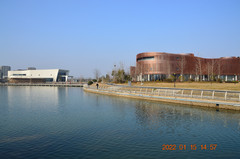 奉贤区游记图片] 上海景点打卡：上海之鱼
