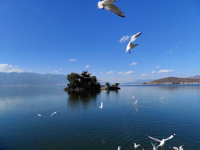 小普陀旅行图片 2